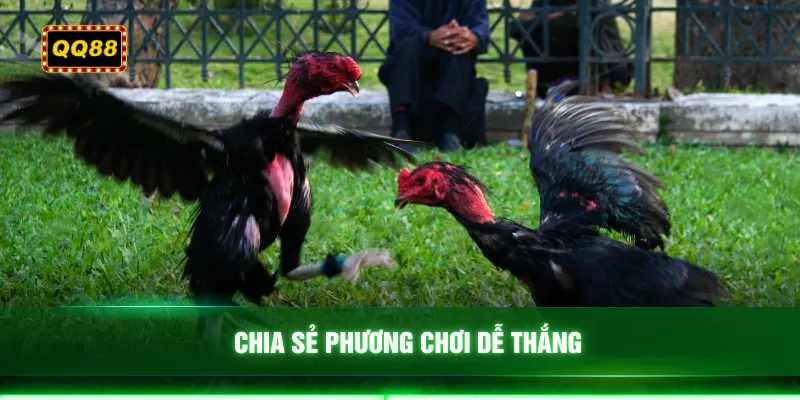 Chia sẻ phương chơi dễ thắng